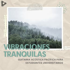 Guitarra Acústica Pacífica Para Estudiantes Universitarios - Vibraciones Tranquilas
