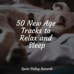 50 New Age Tracks to Relax and Sleep - Baby Relax Music Collection