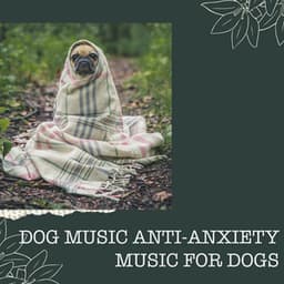 Dog Music Anti-Anxiety Music for Dogs - Anti Anxiety Music for Dogs