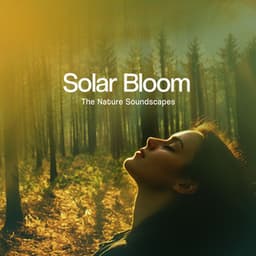 Solar Bloom - The Nature Soundscapes