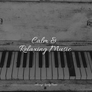 50 Piano Pieces for Ultimate Relaxation and Focused Work - Piano Soul