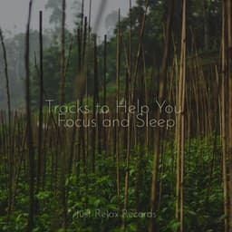 Tracks to Help You Focus and Sleep - Bedtime Lullabies