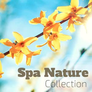 Spa Nature Collection - 30 Tracks with Delicate Sounds of Nature & Birds Chirping - Nature Balance