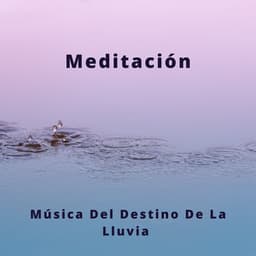 Meditación: Música Del Destino De La Lluvia - Música Para Niños