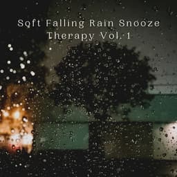 Soft Falling Rain Snooze Therapy Vol. 1 - Feel The Nature