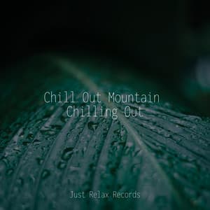 Chill Out Mountain Chilling Out - Best Relaxing SPA Music