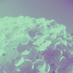 Pulsating Backdrop for Comfort Lounge - Jazz for Hotel Lobbies