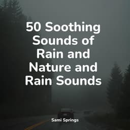 50 Comforting Rain Sounds - Rain