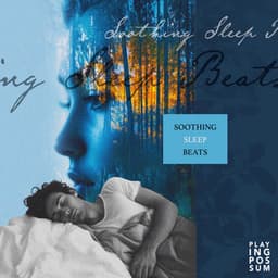 Soothing Sleep Beats - Playing Possum