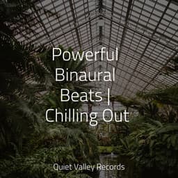 Powerful Binaural Beats | Chilling Out - Sleep Sounds