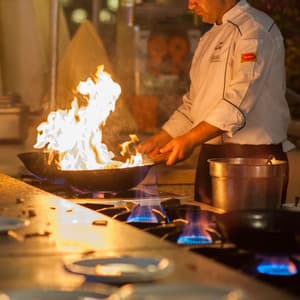 Binaural Mastery: Firewave Work Sessions - Sonic Gateway