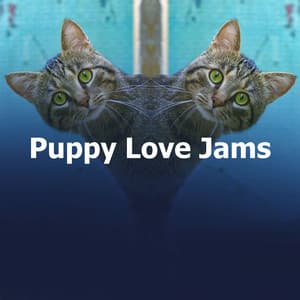 Puppy Love Jams - Dog Music Radio