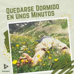 Quedarse Dormido en Unos Minutos - #Calmante