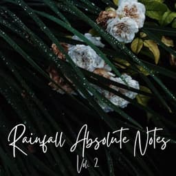 Rainfall Absolute Notes Vol. 2 - Spa Collective
