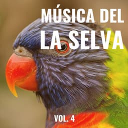 1 Música de la Naturaleza de la Selva para Relajarse Totalmente pt. 2 - Pajaros del Bosque