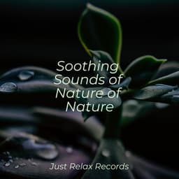 Soothing Sounds of Nature of Nature - Reiki Tribe