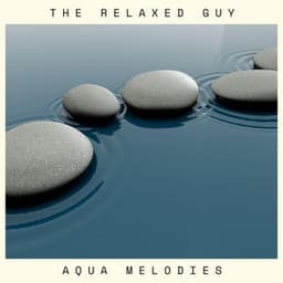Aqua Melodies - The Relaxed Guy