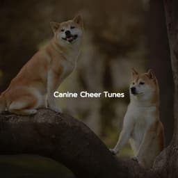 Canine Cheer Tunes - Restaurant Music Lounge