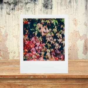 Saxophone Bossa - Bgm for Fall Ambiance - Rio Bossa Nova Quartet