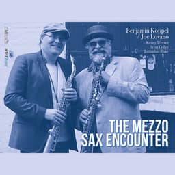 The Mezzo Soprano Encounter - Benjamin Koppel