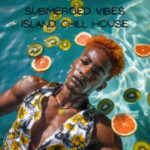 Submerged Vibes: Island Chill House, Afro Beats, Ocean Sunset Grooves - Deep House