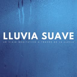 Lluvia Suave: Un Viaje Meditativo A Través De La Lluvia - Meditación Tántrica ASMR