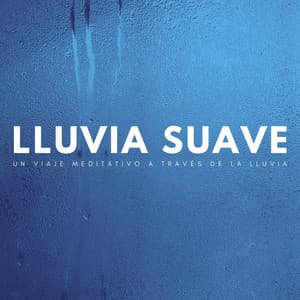 Lluvia Suave: Un Viaje Meditativo A Través De La Lluvia - Meditación Tántrica ASMR