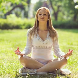 Enchanted Forest Meditation: Soothing Ambient and Nature Cricket Harmony - Forest Crickets