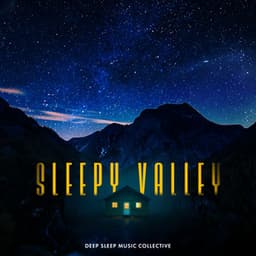 Sleepy Valley - Deep Sleep Music Collective