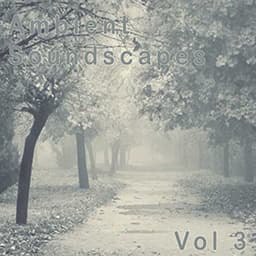 Ambient SoundScapes - Amanda Lee Falkenberg