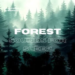 Forest Sounds for Sleep - FX Forest Sounds