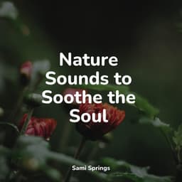 Nature Sounds to Soothe the Soul - Spa Zen