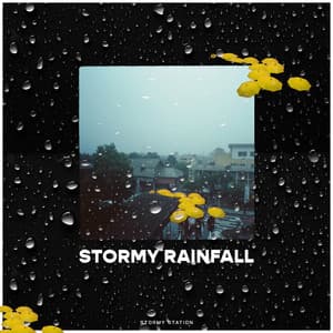 Stormy Rainfall - Stormy Station