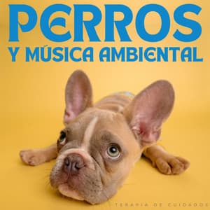 Perros Y Música Ambiental: Terapia De Cuidados - Descansar Musica