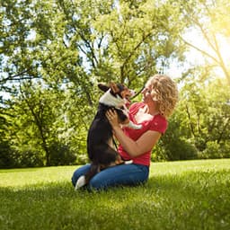 Raindrop Woofs: A Piano Serenade of Doggy Harmony - Rain Palace