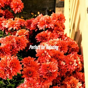 Perfect for Relaxing - Focus at Work Jazz Playlist