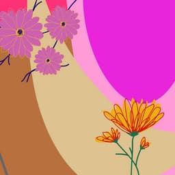 Music for Successful Ballads - Latin Chill Out