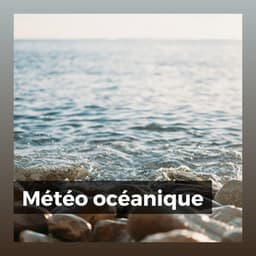 Météo océanique - Vagues Dans La Mer