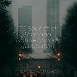 50 Sounds of Rain and Nature Sounds - Calming Sounds