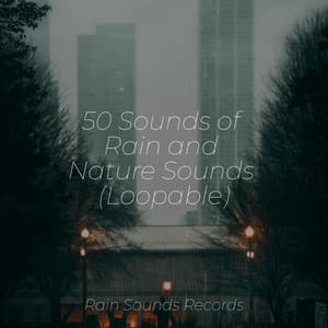 50 Sounds of Rain and Nature Sounds - Calming Sounds