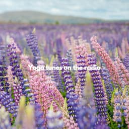 Yoga tunes on the radio - Música para Centros Comerciales