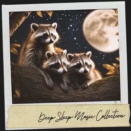 Deep Sleep Music Collection: Lullabies for a Restful Night - Dog Relaxation