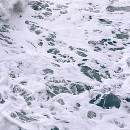 01 Noise Machine: Study Echoes - Focus Noise