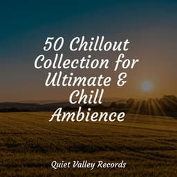 50 Chillout Collection for Ultimate & Chill Ambience - Wellness