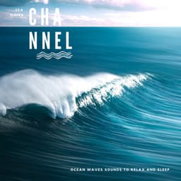 Ocean Waves Sounds to Relax and Sleep - Sea Noise Channel