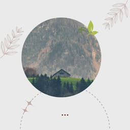 Calming Moments - Jazz Lento