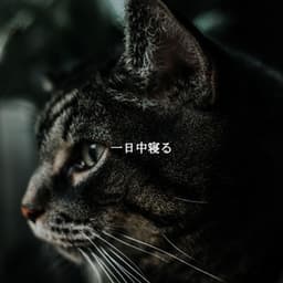 一日中寝る - Desayuno Jazz Ambiente