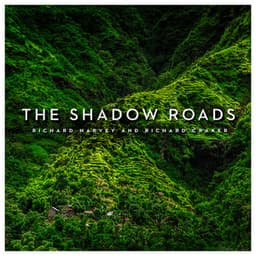 The Shadow Roads - Richard Harvey