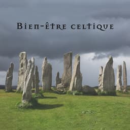 Bien-être celtique - Académie de Bien-Être