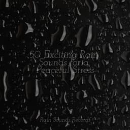 50 Exciting Rain Sounds for a Peaceful Stress - Relajación